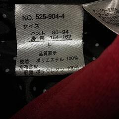 赤のコートの画像