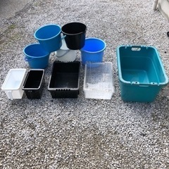 メダル飼育容器、メダカの水換え道具として