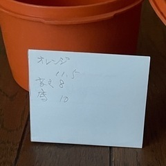 タッパーウェア　デコレーター3個の画像