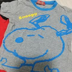 幼児Tシャツ  サイズ100の画像