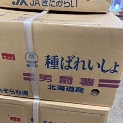 種芋　男爵　Ｌサイズ　10kg ¥500❗️