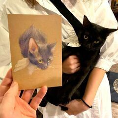 【4月21日】猫カフェで癒されながら猫ちゃんを描いてみませんか？の画像
