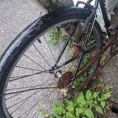 自転車2台まとめて♪
