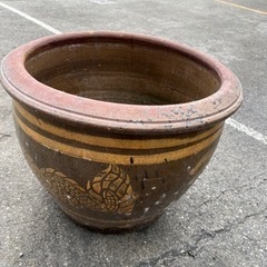 睡蓮鉢