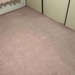 カーペットピンクの画像