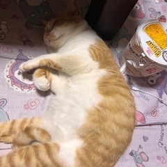 お暇です笑