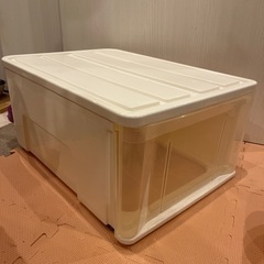 3/30に処分します　衣装ケース　