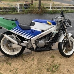 NSR250R 1988 カウル付き