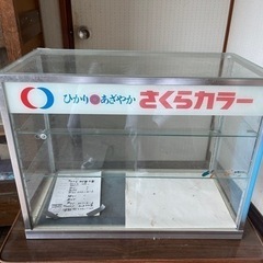 ガラス　ショーケース　昭和　レトロ