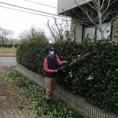 庭木の剪定・伐採1本¥1000から！「夫婦の植木屋さん♪」本間ガーデンサービス！土浦より − 茨城県