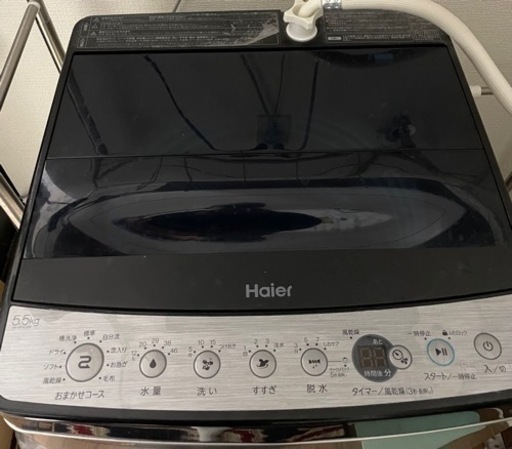 Haier 洗濯機