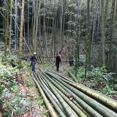 竹のお仕事　スタッフ募集の画像