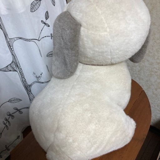 決まりました。うめ吉