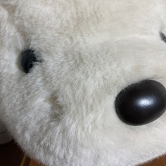 決まりました。うめ吉の画像