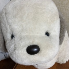 決まりました。うめ吉の画像