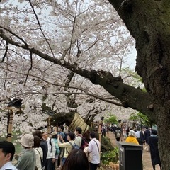 目白散策やお茶など - 新宿区