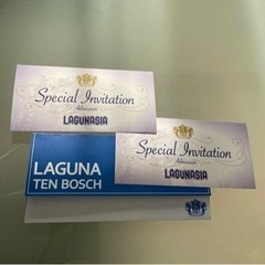 ラグーナ　ラグナシア　入場券