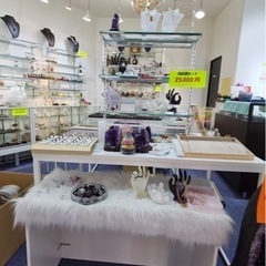 テーブルショーケースの画像