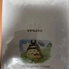 ✨新品未使用品✨となりのトトロ【フードコンテナ】