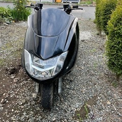 マグザム 250