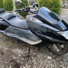 マグザム 250の画像