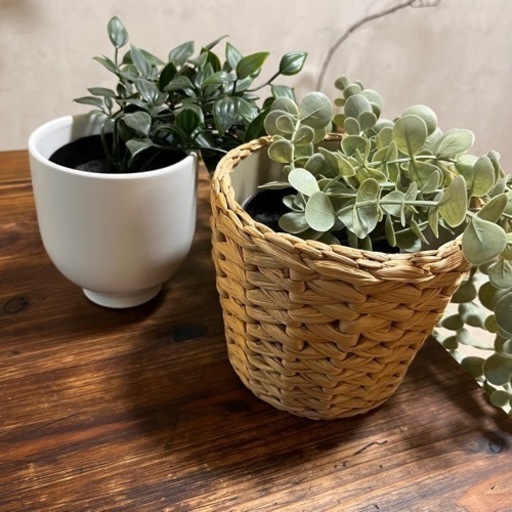 IKEA 観葉植物　吊りさげネット付き