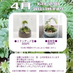 【葛飾区立石】4月16日苔テラリウムワークショップを開催します