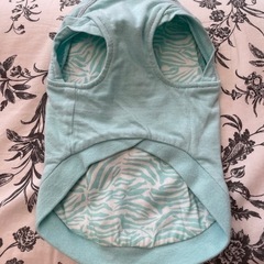 森　泉デザイン　ペット　洋服の画像