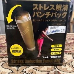 ストレス解消パンチバッグ　空気式