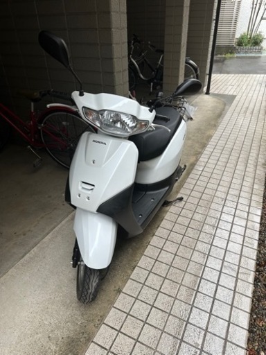 ホンダ　AF79タクトベーシック　ワンオーナー　走行距離1824km 自賠責2年以上
