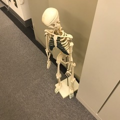 人体模型　決まりました！