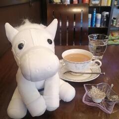 開運 ソダシ セットの画像