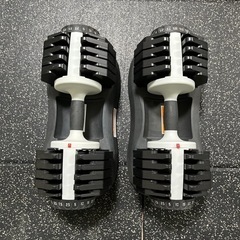 可変式ダンベル　ACTIVAFIT 25kg 2個セット