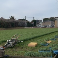 ウサギ専用牧草の刈り取りの補助の画像