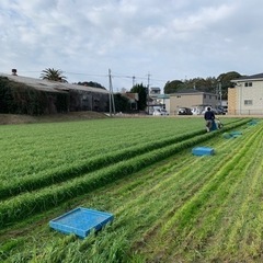 ウサギ専用牧草の刈り取りの補助