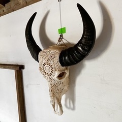 水牛スカルホーン