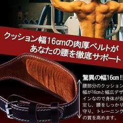 トレーニングベルトの中古が安い！激安で譲ります・無料で