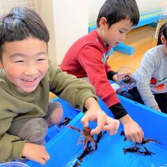 いきものをテーマにした子ども向けイベントの営業（滋賀県または近隣県）