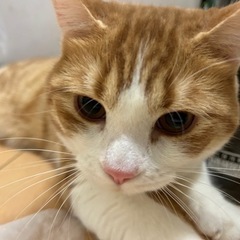 早めにお迎えしてくれる方。。