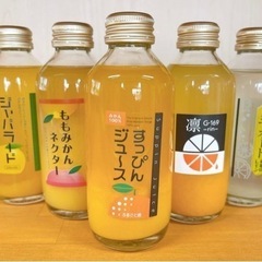 シトラスハウス (道の駅ねごろ歴史の丘敷地内)ホールスタッフ募集🍊の画像