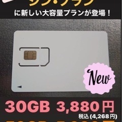 格安SIM30ギガ、50ギガ‼︎スマホ代安くしませんか？