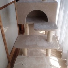 キャットタワー