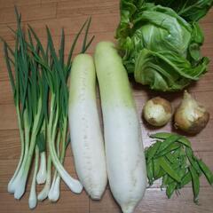 お野菜５点。