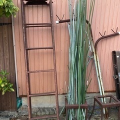 ⭐️決まりました⭐️金属ゴミ　はしご　フェンス　園芸ポール等