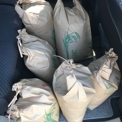 古米の玄米の画像