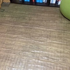 ホットカーペットをお譲りいたします。