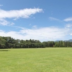 軽く野球やりたい方募集です 