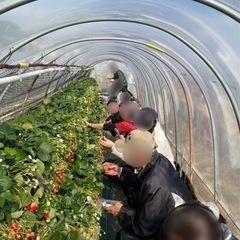 4/2（日）桜を見る会、山頂編。キウイでも食べながら…。粟ヶ岳と君たちキウイツーリング！ - 友達
