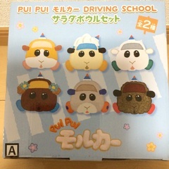 モルカーサラダボウル