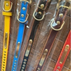 ペット　首輪　本革　各種の画像